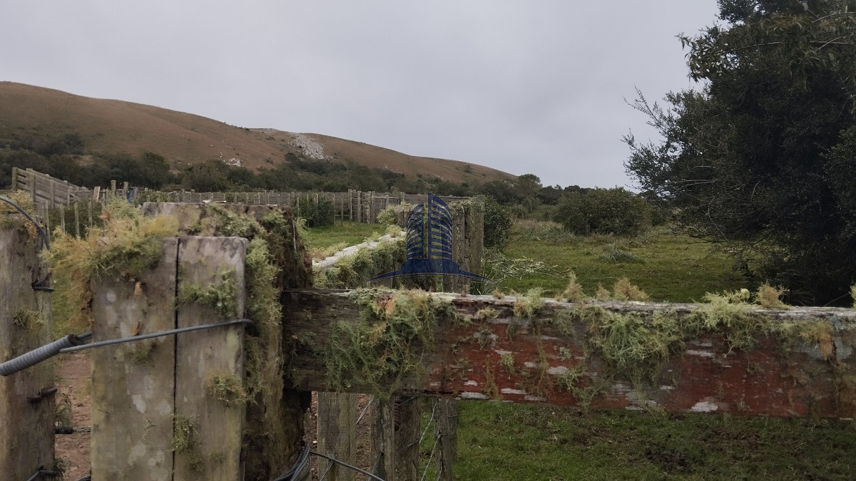 Campo en venta, Maldonado, en la zona del Cerro Catedral - GoPunta - Portal Inmobiliario de Punta del Este - Maldonado
