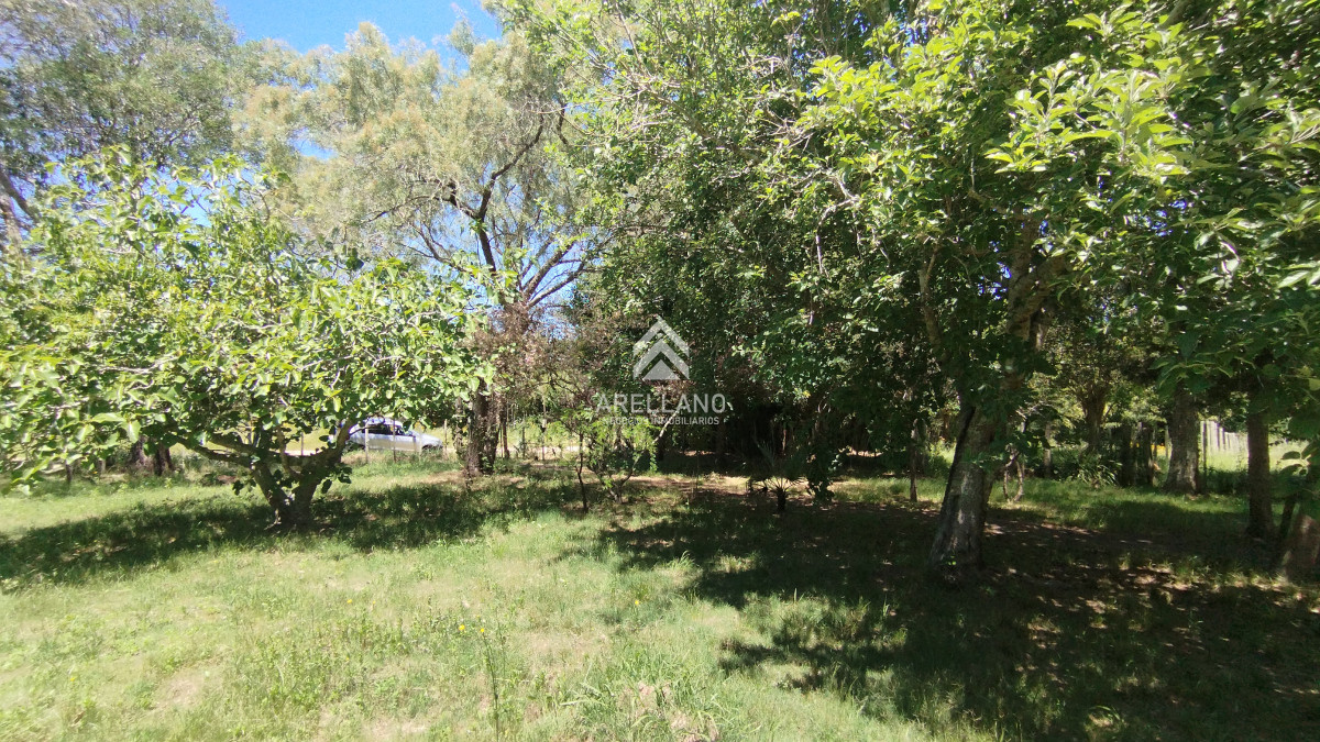 Chacra ID.3993 - Chacra en venta ubicada a 2 km de la ciudad de Aigua