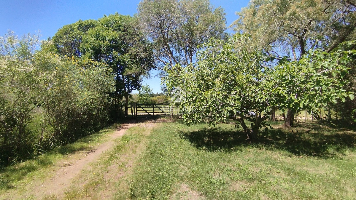 Chacra ID.3993 - Chacra en venta ubicada a 2 km de la ciudad de Aigua