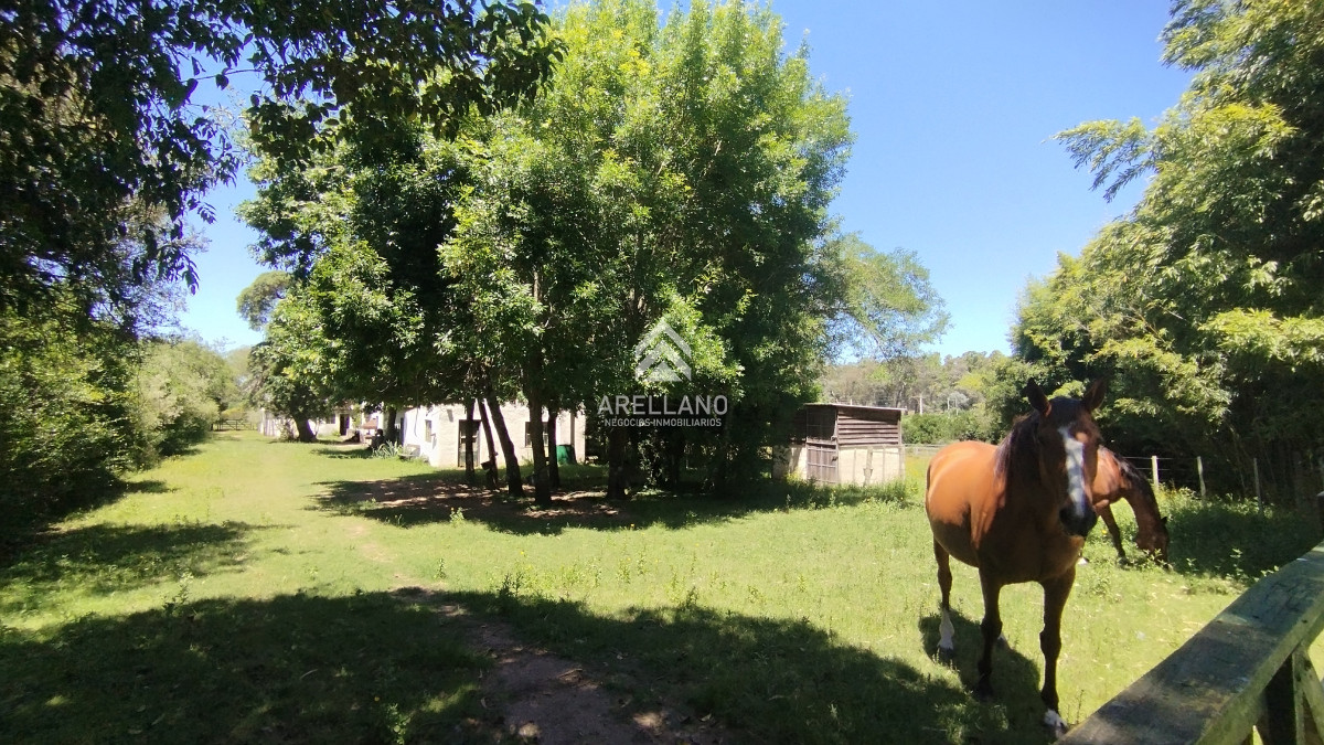 Chacra ID.3993 - Chacra en venta ubicada a 2 km de la ciudad de Aigua