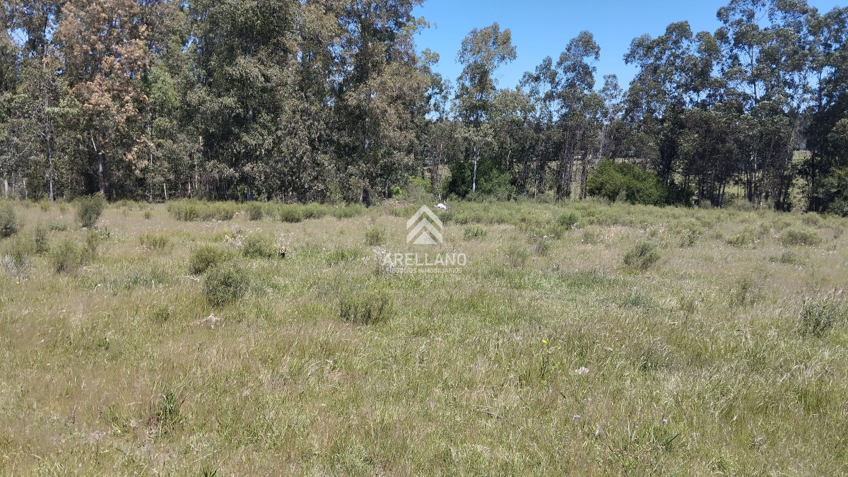 Chacra ID.3993 - Chacra en venta ubicada a 2 km de la ciudad de Aigua