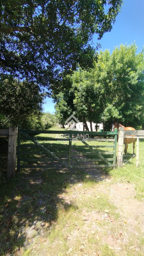 Chacra ID.3993 - Chacra en venta ubicada a 2 km de la ciudad de Aigua