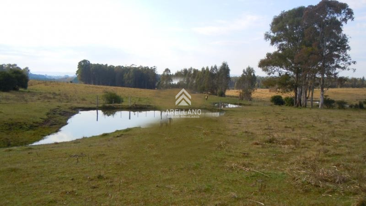 Chacra ID.3993 - Chacra en venta ubicada a 2 km de la ciudad de Aigua