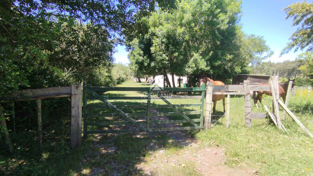 Chacra ID.3993 - Chacra en venta ubicada a 2 km de la ciudad de Aigua
