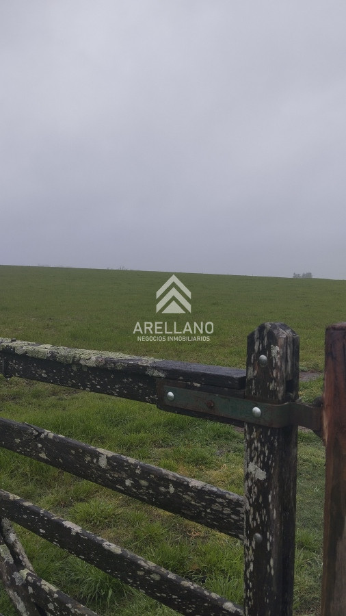 Campo Ref.4083 - Campo de casi 9 hectáreas en venta 