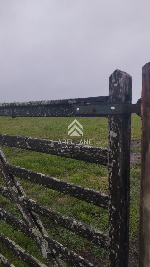 Campo Ref.4083 - Campo de casi 9 hectáreas en venta 