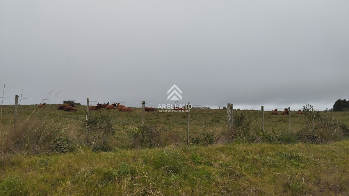 Campo Ref.3842 - Campo en venta, Maldonado, en la zona del Cerro Catedral