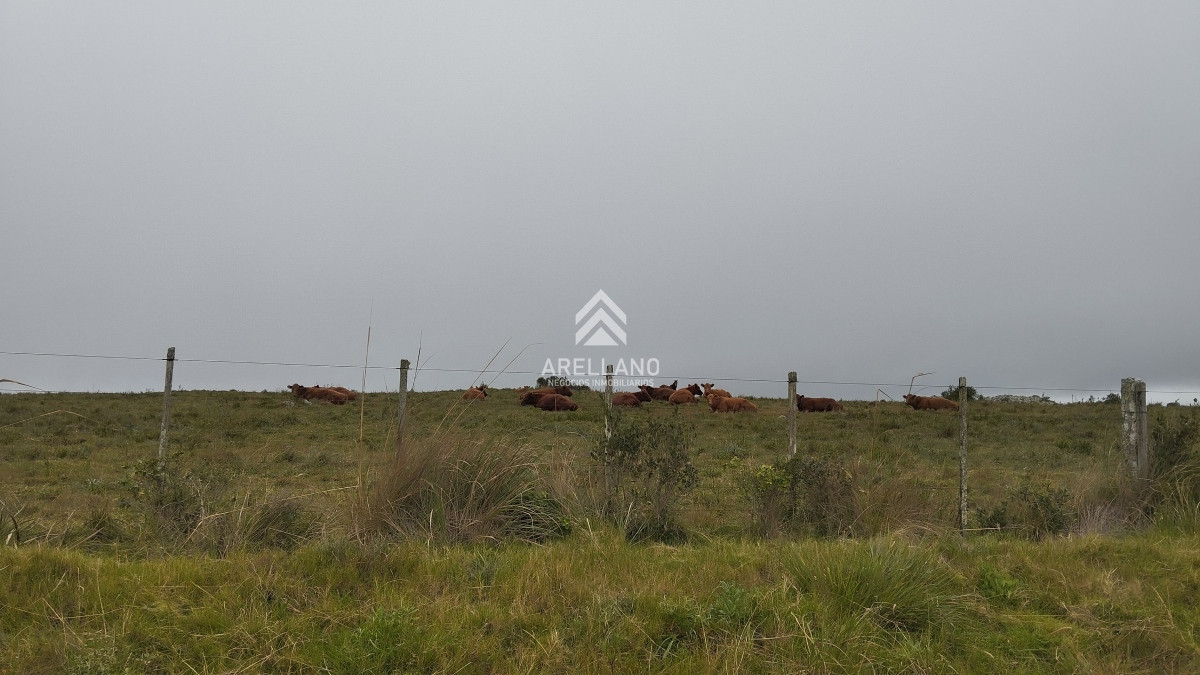 Campo Ref.3842 - Campo en venta, Maldonado, en la zona del Cerro Catedral