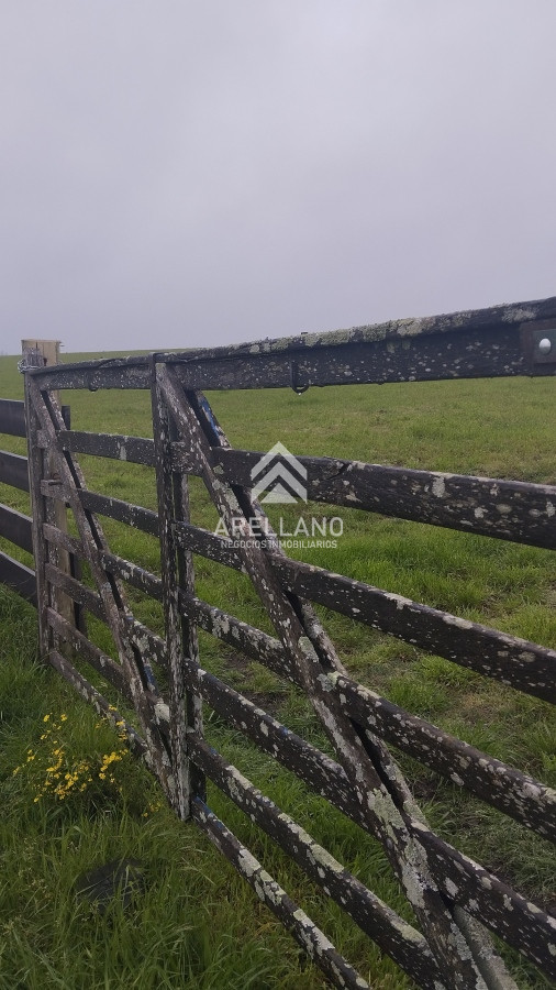 Campo Ref.4083 - Campo de casi 9 hectáreas en venta 
