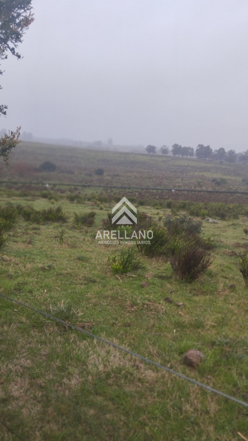 Campo Ref.4083 - Campo de casi 9 hectáreas en venta 