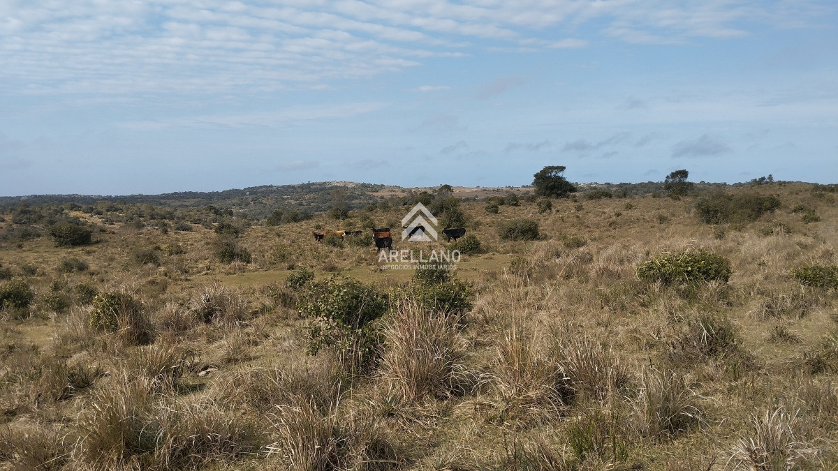 Campo Ref.3842 - Campo en venta, Maldonado, en la zona del Cerro Catedral