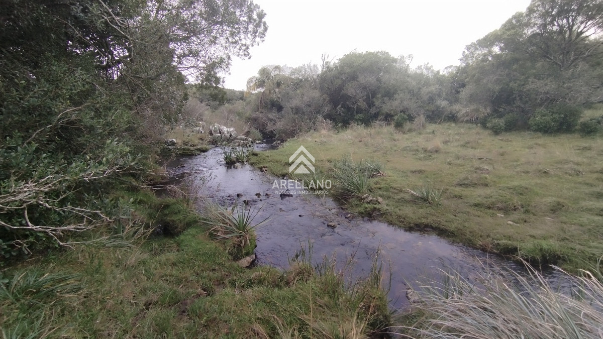 Campo Ref.3842 - Campo en venta, Maldonado, en la zona del Cerro Catedral
