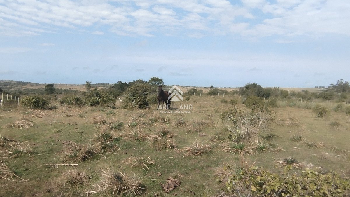 Campo Ref.3842 - Campo en venta, Maldonado, en la zona del Cerro Catedral