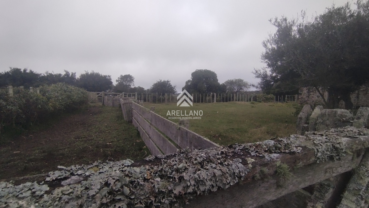 Campo Ref.3842 - Campo en venta, Maldonado, en la zona del Cerro Catedral