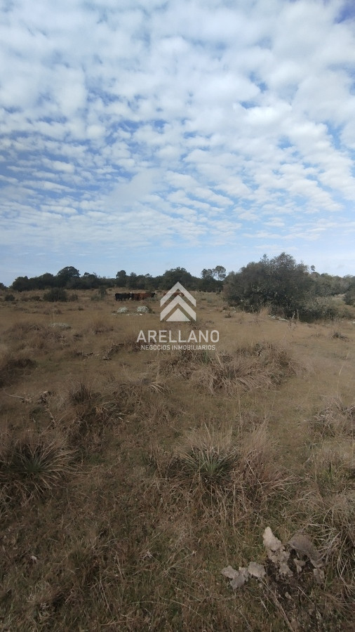 Campo Ref.3842 - Campo en venta, Maldonado, en la zona del Cerro Catedral