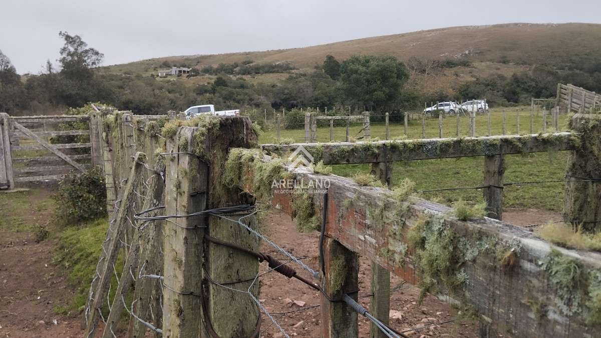 Campo Ref.3842 - Campo en venta, Maldonado, en la zona del Cerro Catedral