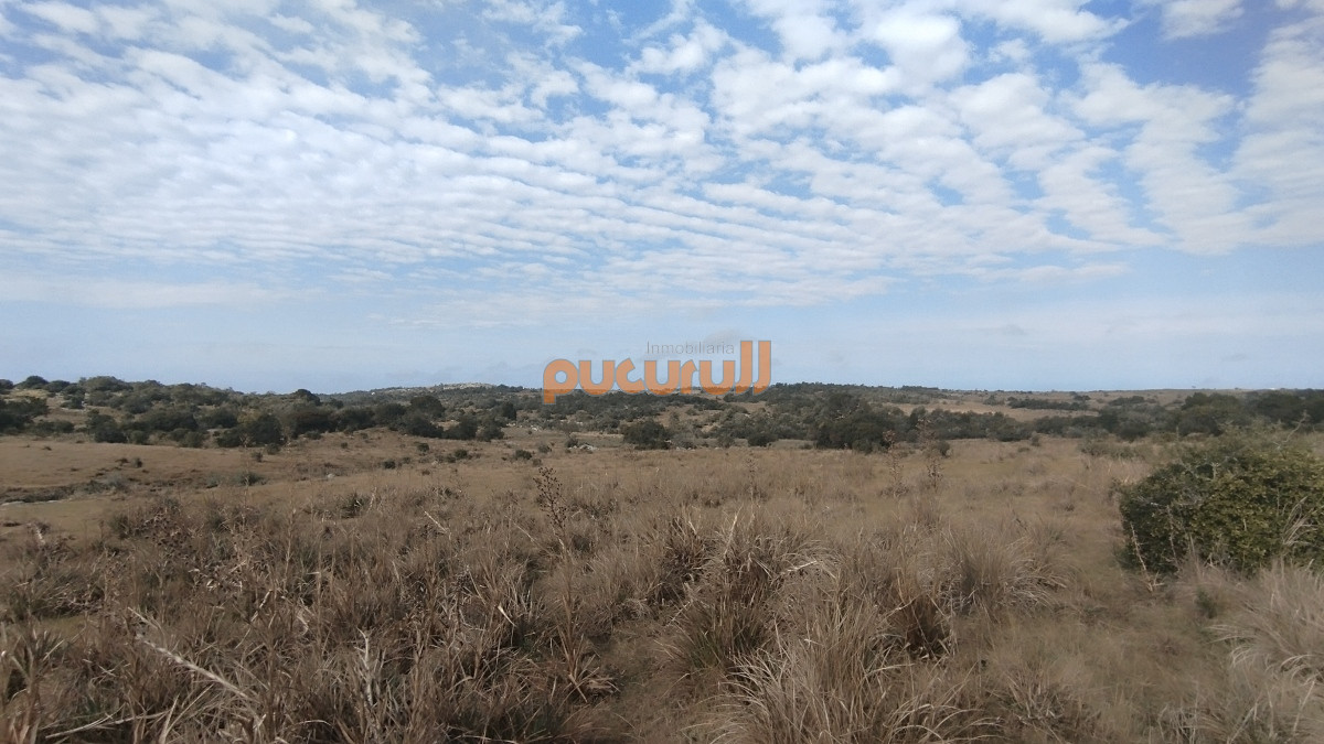 Campo Ref.1797 - Campo en venta, Maldonado, en la zona del Cerro Catedral