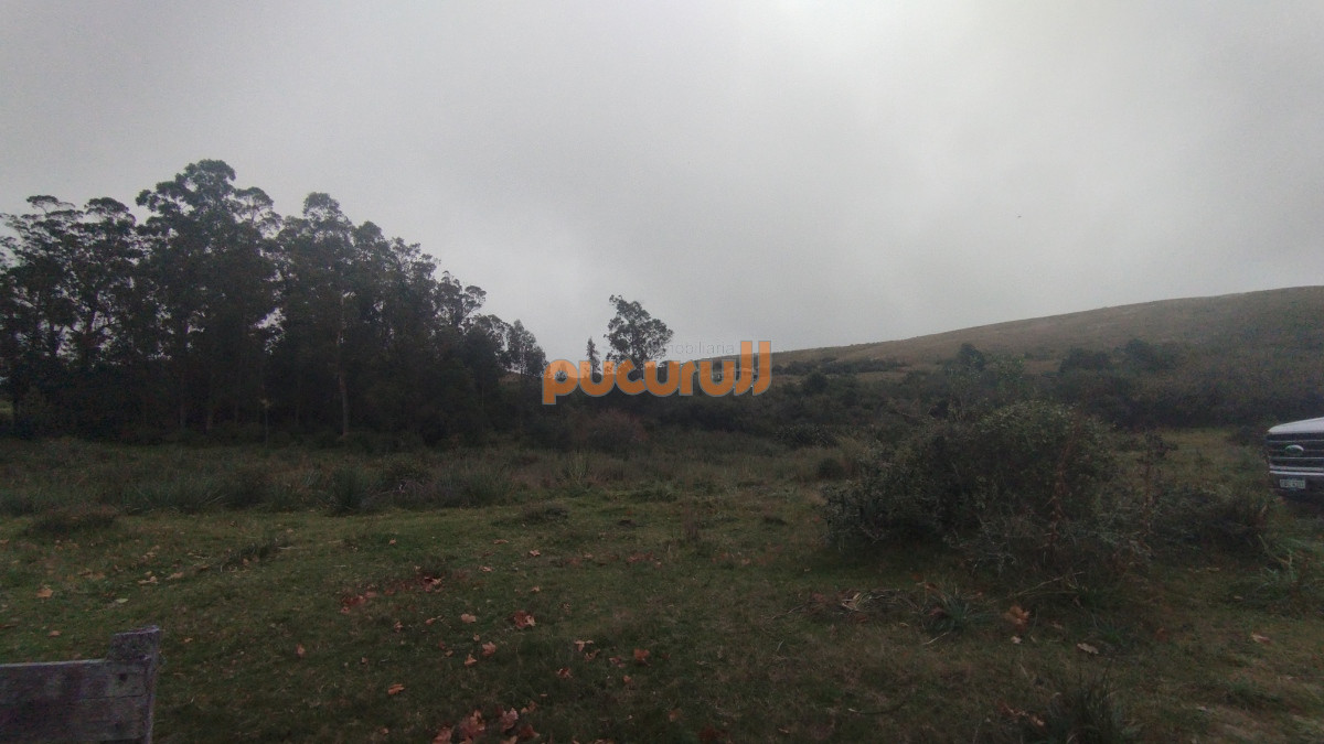 Campo Ref.1797 - Campo en venta, Maldonado, en la zona del Cerro Catedral