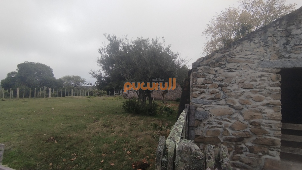 Campo Ref.1797 - Campo en venta, Maldonado, en la zona del Cerro Catedral