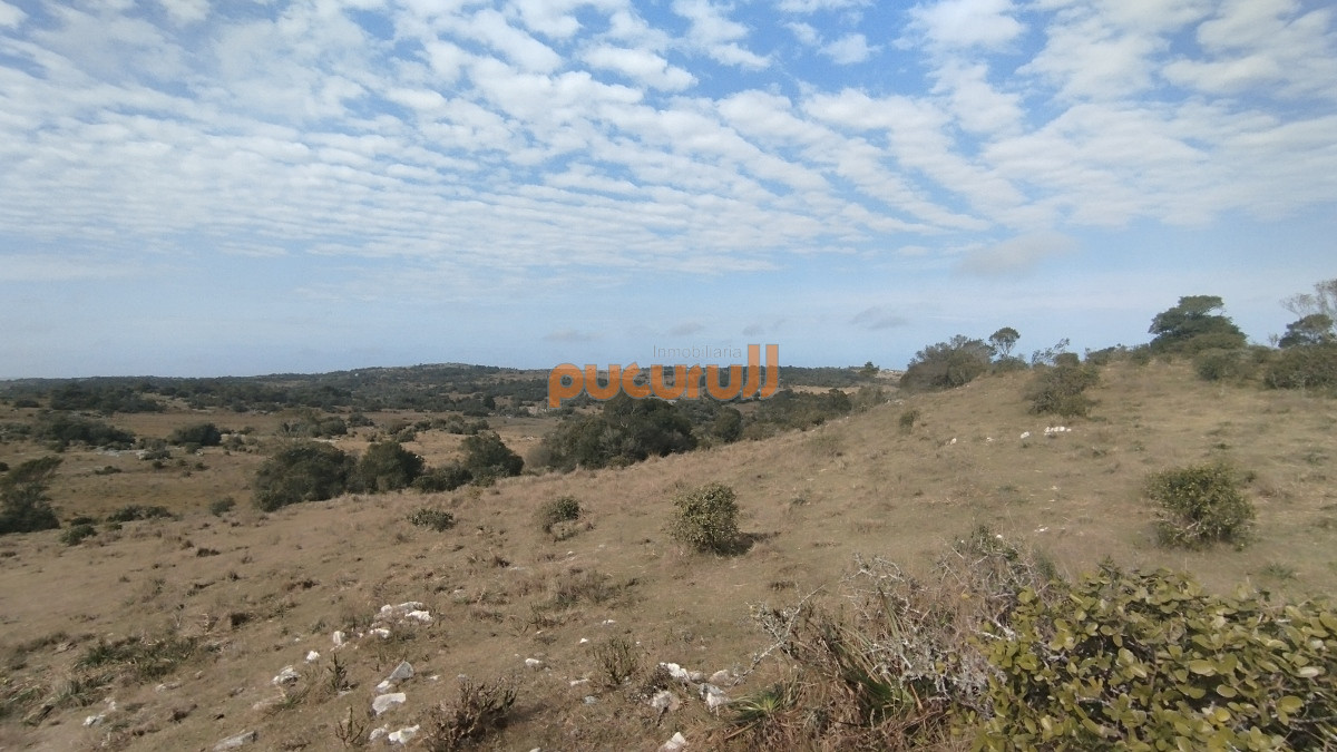 Campo Ref.1797 - Campo en venta, Maldonado, en la zona del Cerro Catedral