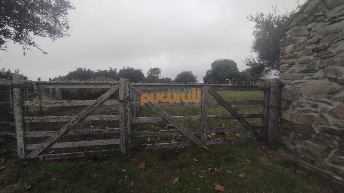 Campo Ref.1797 - Campo en venta, Maldonado, en la zona del Cerro Catedral