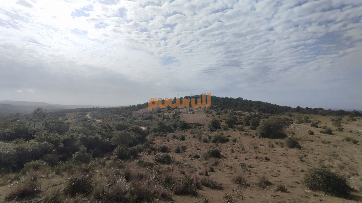 Campo Ref.1797 - Campo en venta, Maldonado, en la zona del Cerro Catedral