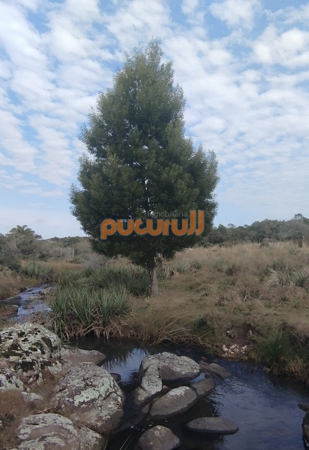 Campo Ref.1797 - Campo en venta, Maldonado, en la zona del Cerro Catedral