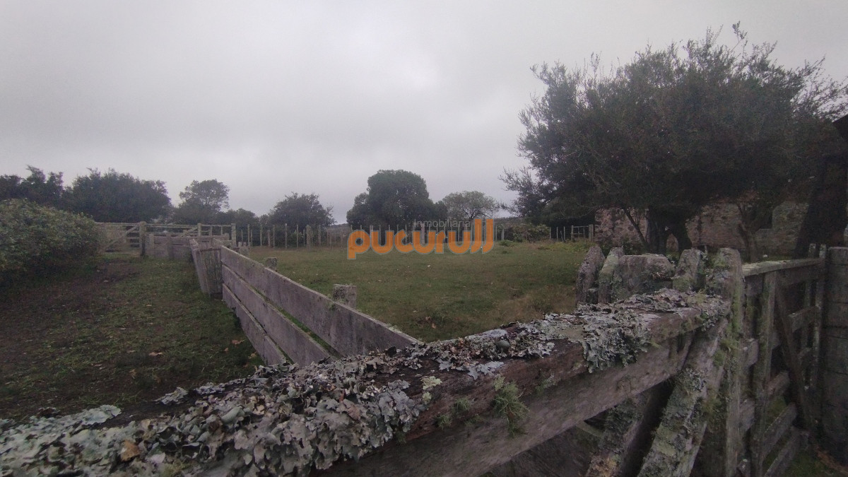 Campo Ref.1797 - Campo en venta, Maldonado, en la zona del Cerro Catedral