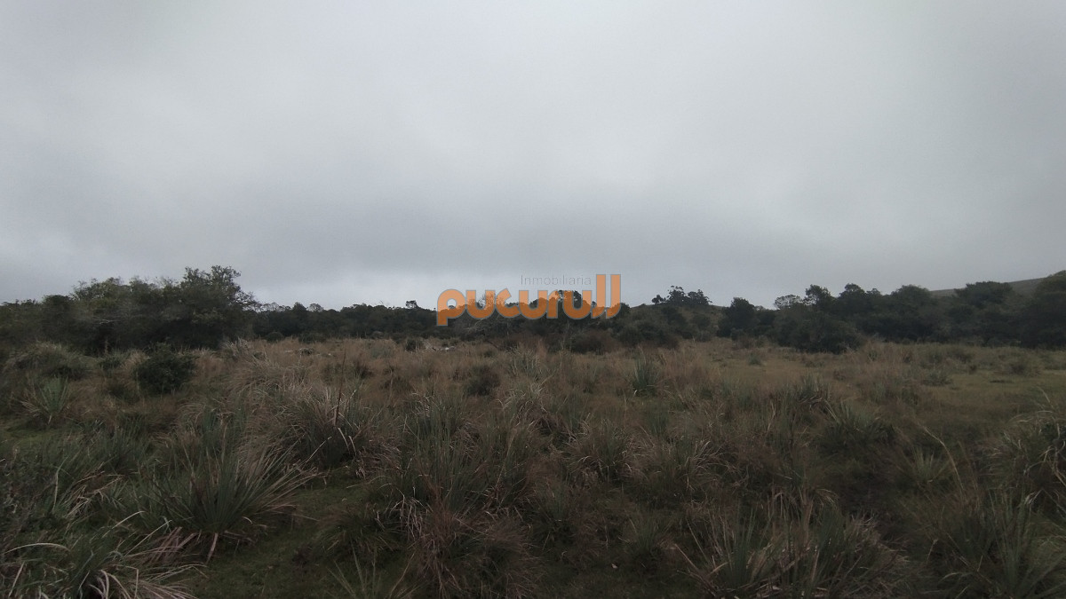 Campo Ref.1797 - Campo en venta, Maldonado, en la zona del Cerro Catedral