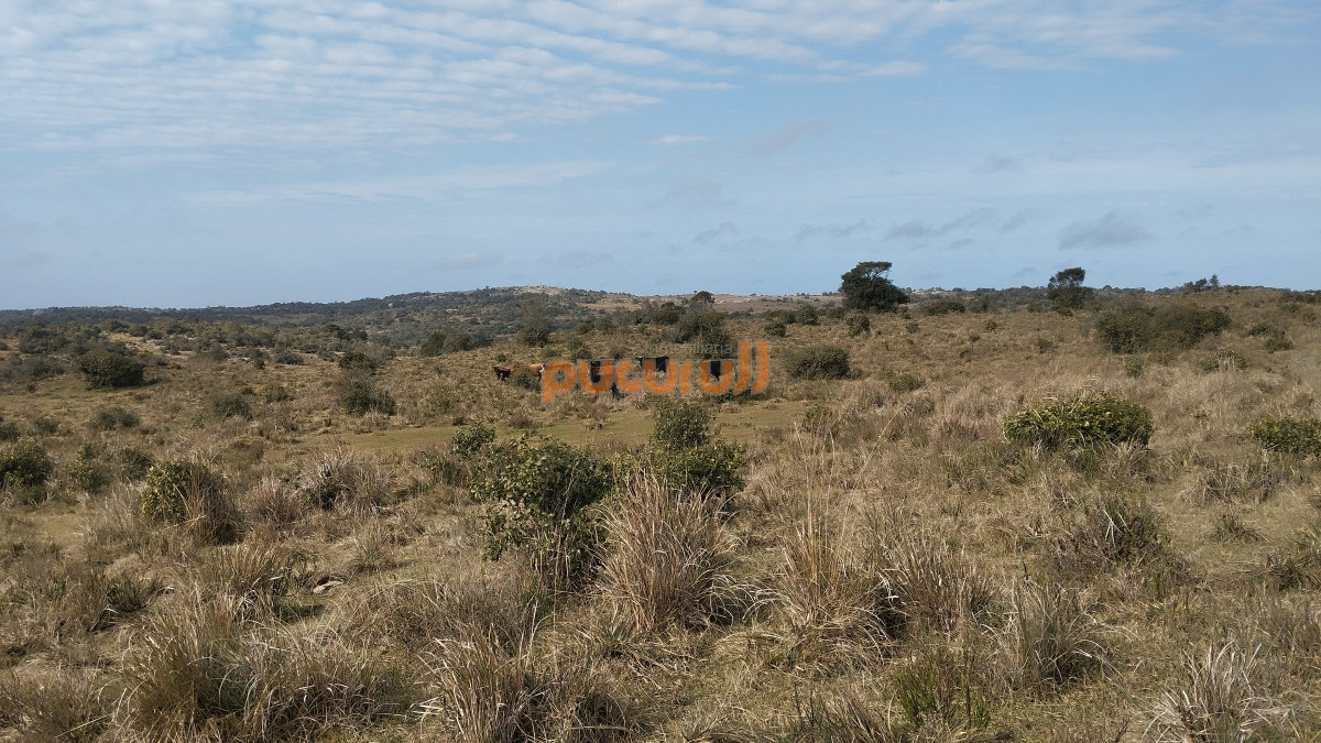 Campo Ref.1797 - Campo en venta, Maldonado, en la zona del Cerro Catedral
