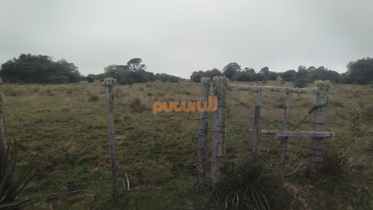 Campo Ref.1797 - Campo en venta, Maldonado, en la zona del Cerro Catedral