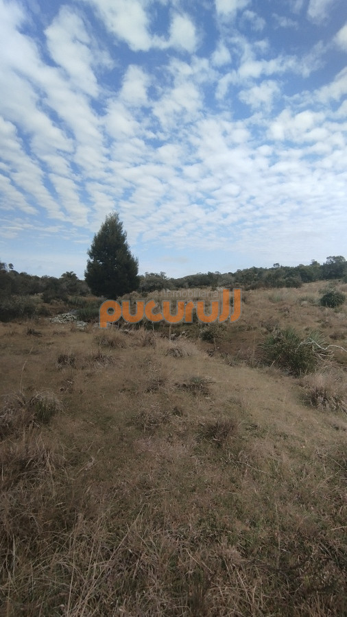 Campo Ref.1797 - Campo en venta, Maldonado, en la zona del Cerro Catedral