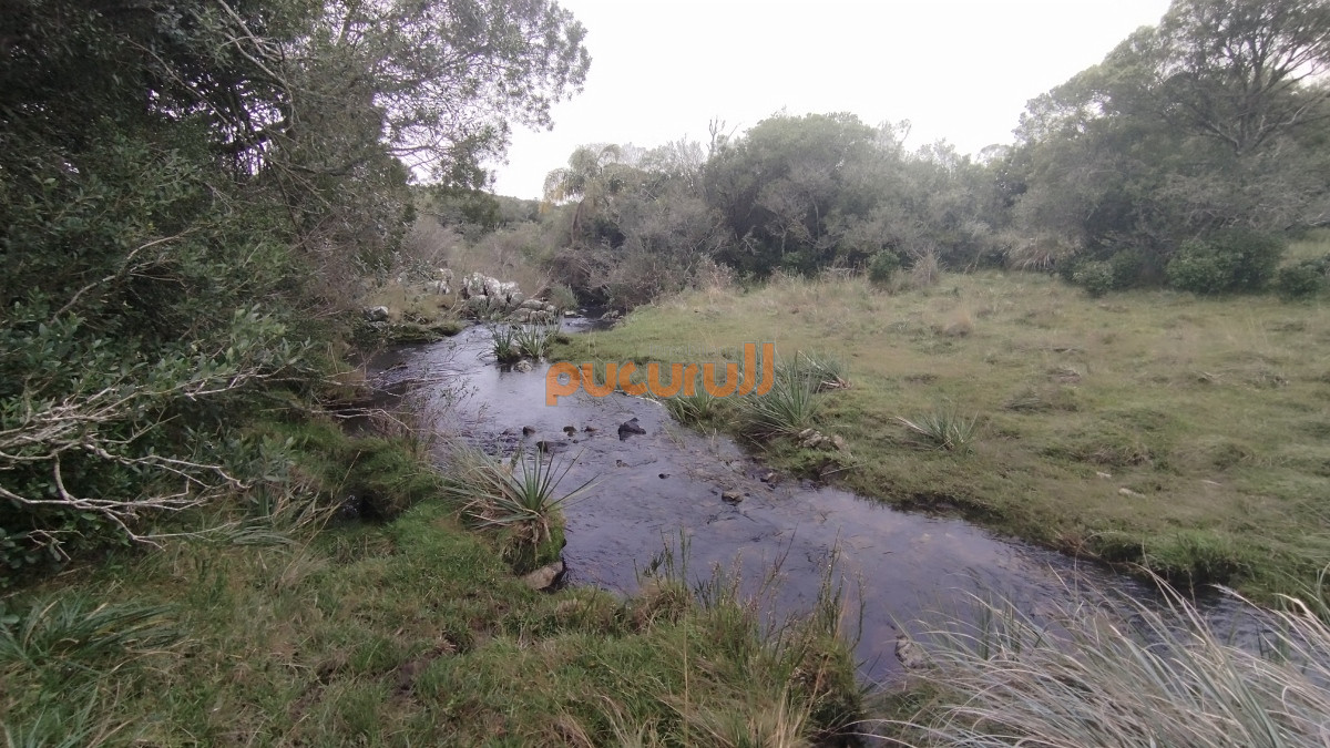 Campo Ref.1797 - Campo en venta, Maldonado, en la zona del Cerro Catedral