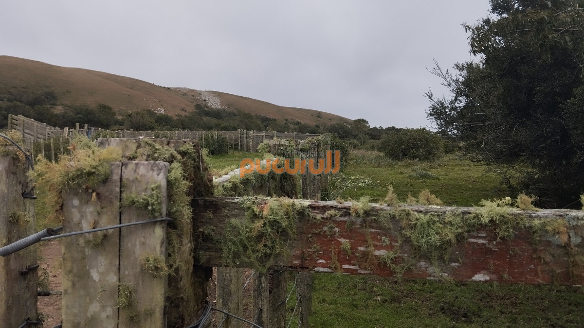 Campo Ref.1797 - Campo en venta, Maldonado, en la zona del Cerro Catedral