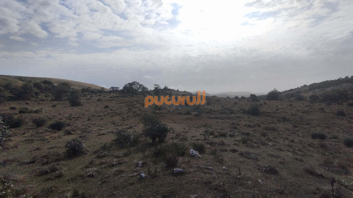 Campo Ref.1797 - Campo en venta, Maldonado, en la zona del Cerro Catedral