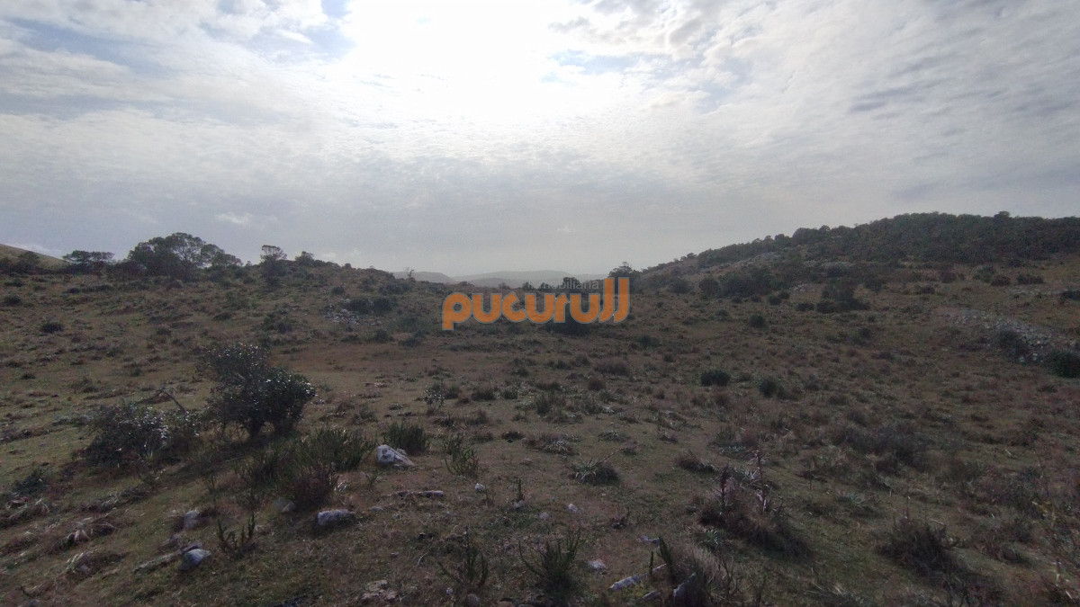 Campo Ref.1797 - Campo en venta, Maldonado, en la zona del Cerro Catedral