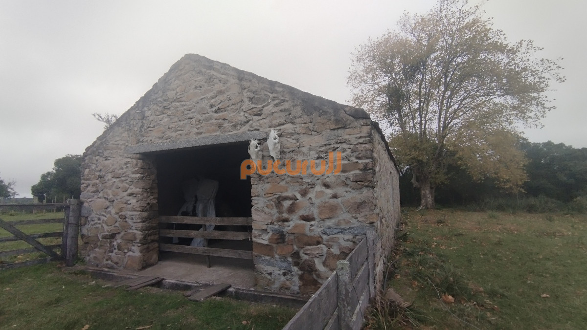 Campo Ref.1797 - Campo en venta, Maldonado, en la zona del Cerro Catedral
