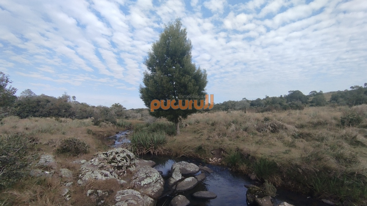 Campo Ref.1797 - Campo en venta, Maldonado, en la zona del Cerro Catedral