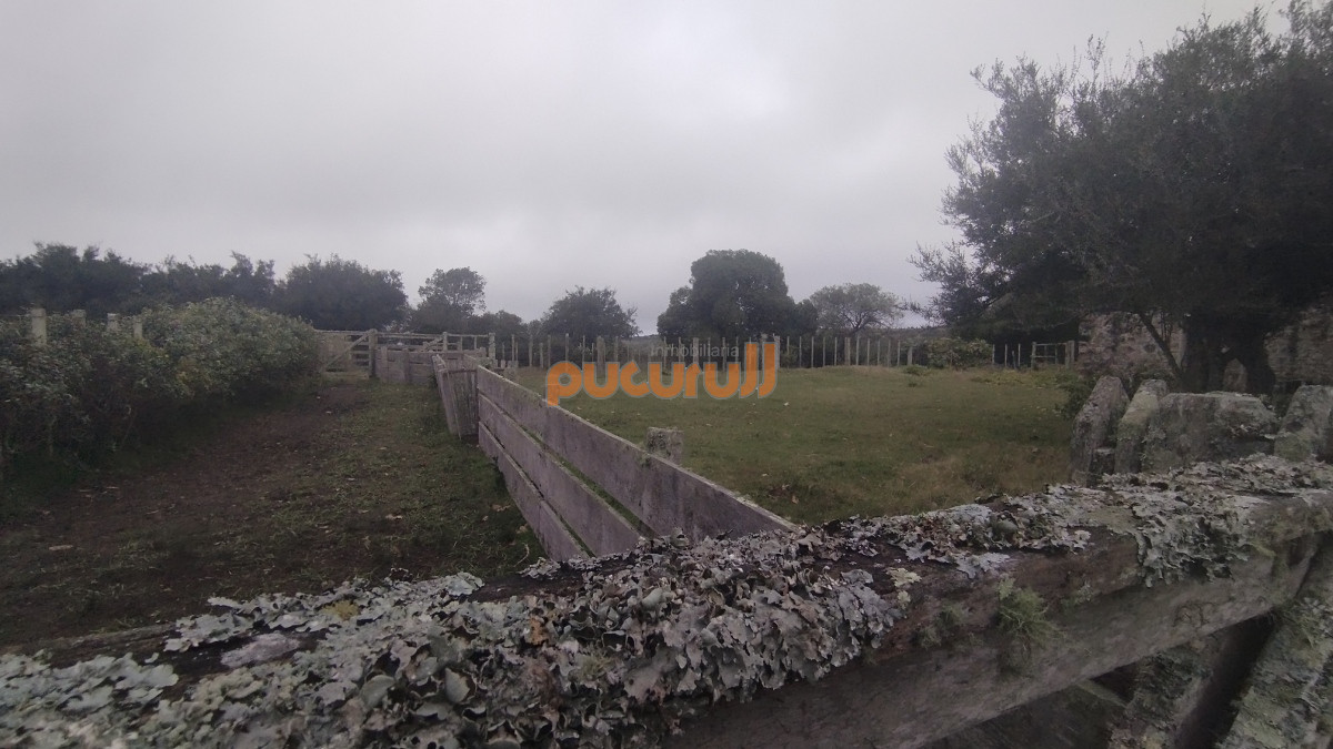Campo Ref.1797 - Campo en venta, Maldonado, en la zona del Cerro Catedral