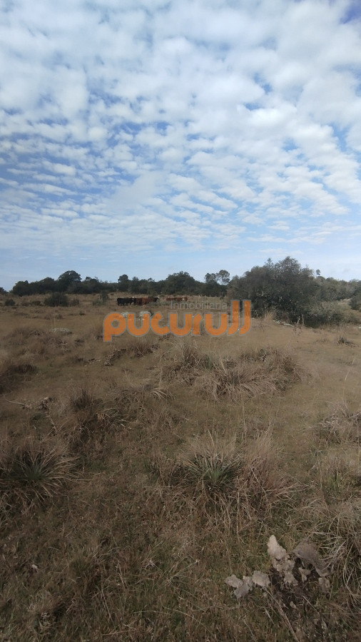 Campo Ref.1797 - Campo en venta, Maldonado, en la zona del Cerro Catedral
