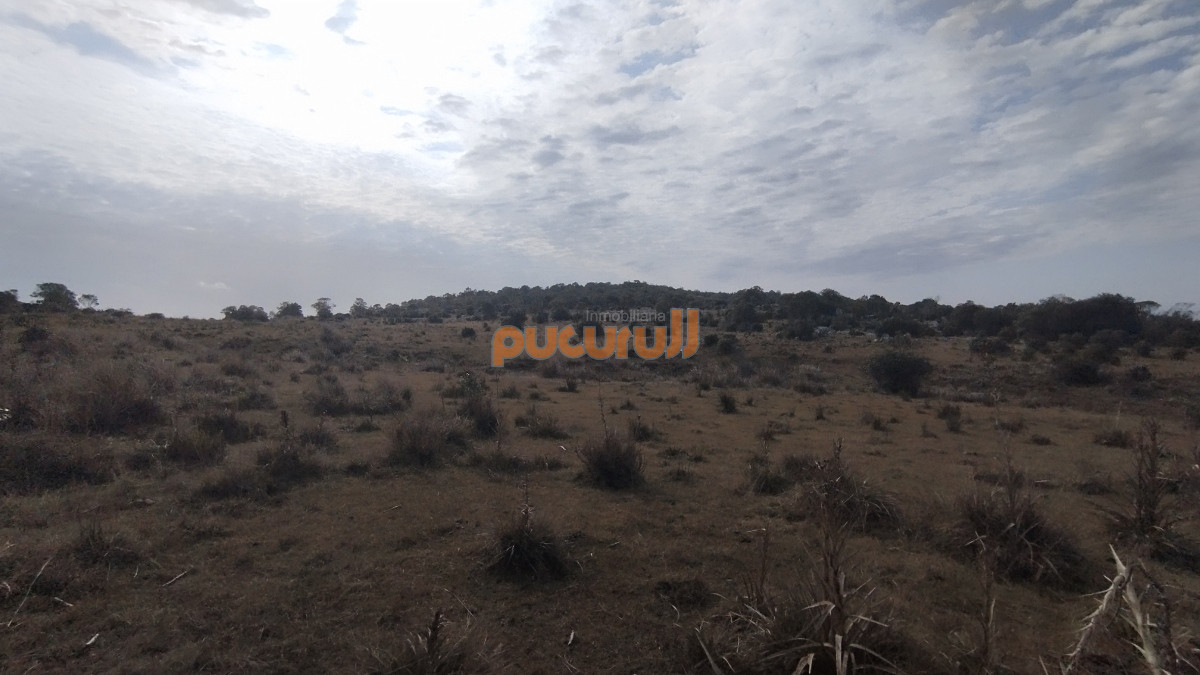 Campo Ref.1797 - Campo en venta, Maldonado, en la zona del Cerro Catedral
