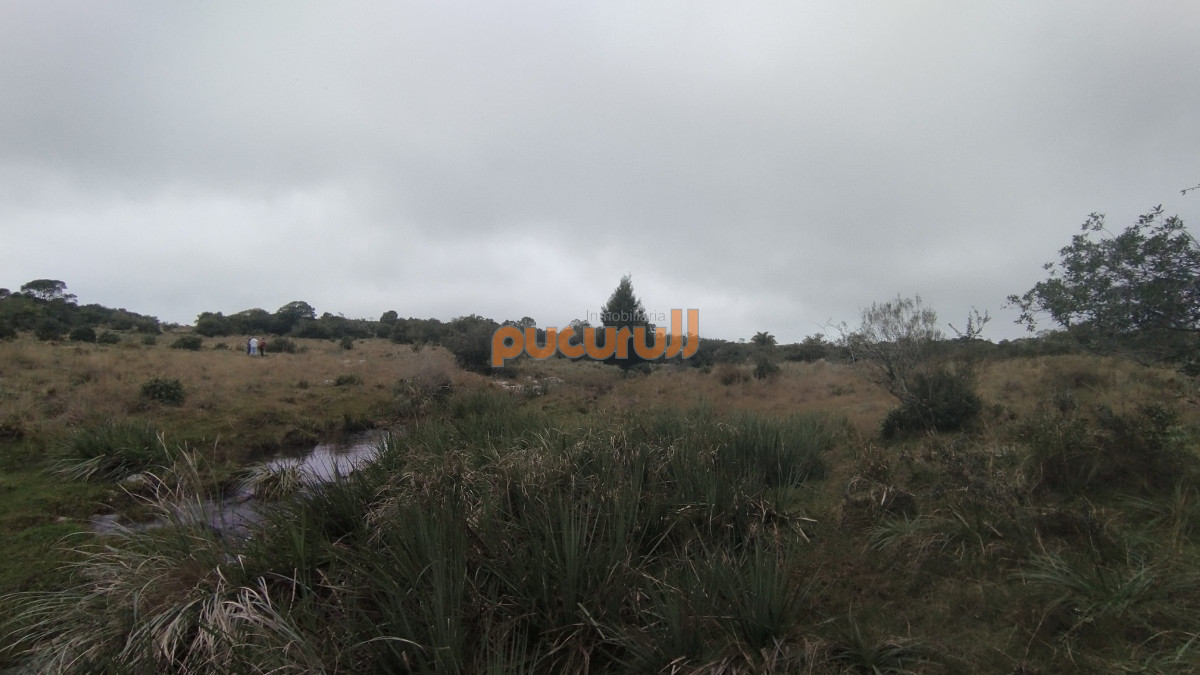 Campo Ref.1797 - Campo en venta, Maldonado, en la zona del Cerro Catedral