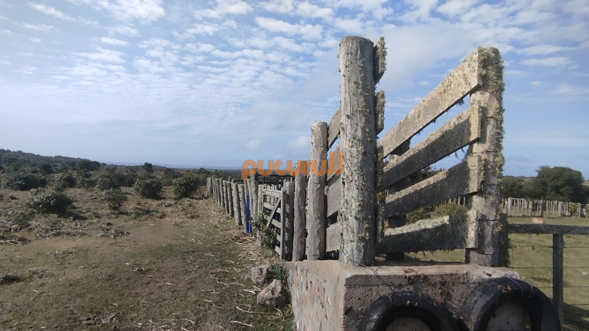 Campo Ref.1797 - Campo en venta, Maldonado, en la zona del Cerro Catedral