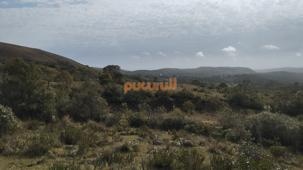 Campo Ref.1797 - Campo en venta, Maldonado, en la zona del Cerro Catedral