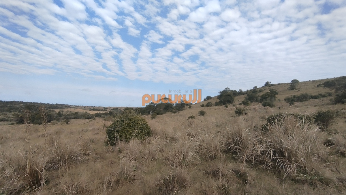 Campo Ref.1797 - Campo en venta, Maldonado, en la zona del Cerro Catedral