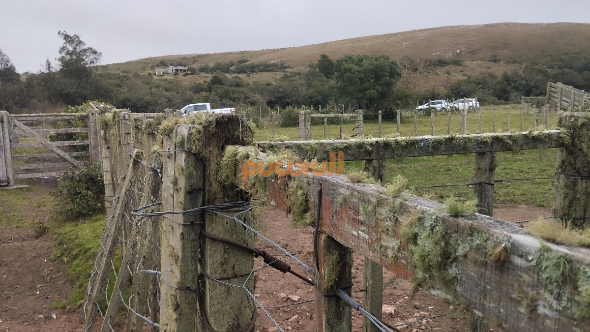 Campo Ref.1797 - Campo en venta, Maldonado, en la zona del Cerro Catedral