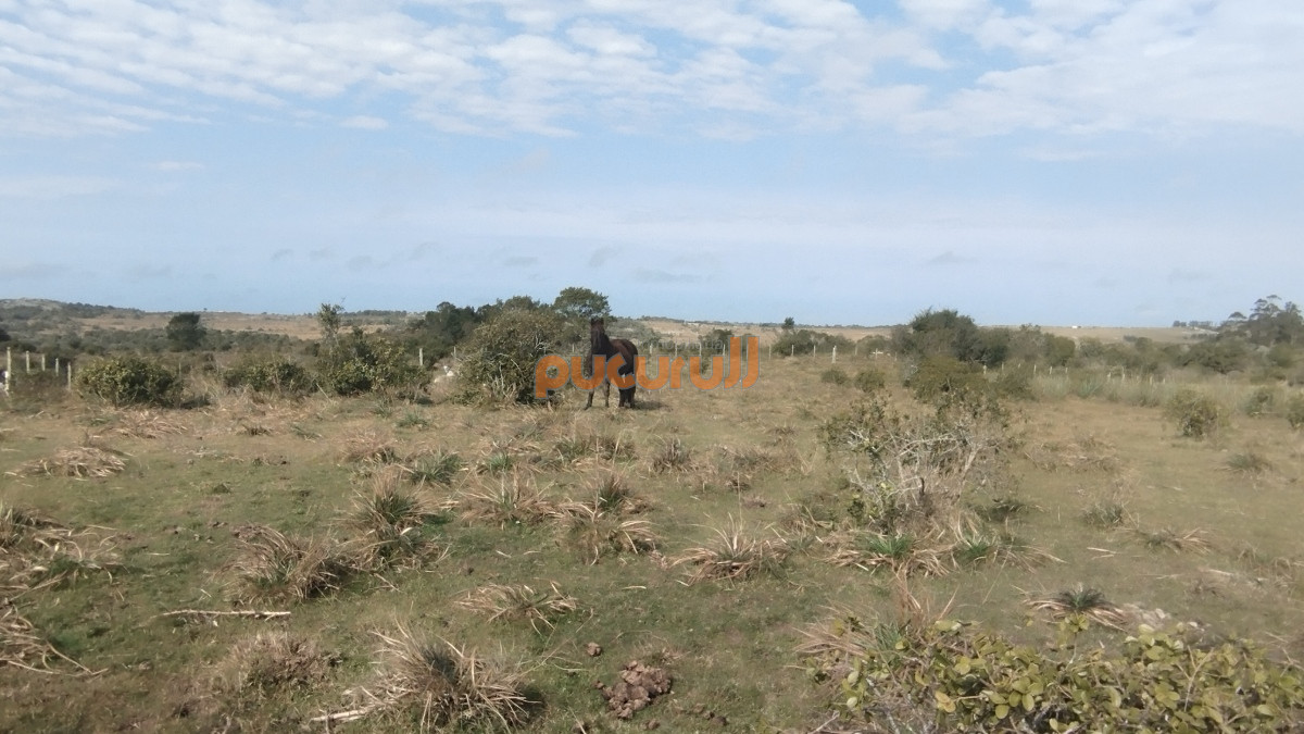 Campo Ref.1797 - Campo en venta, Maldonado, en la zona del Cerro Catedral