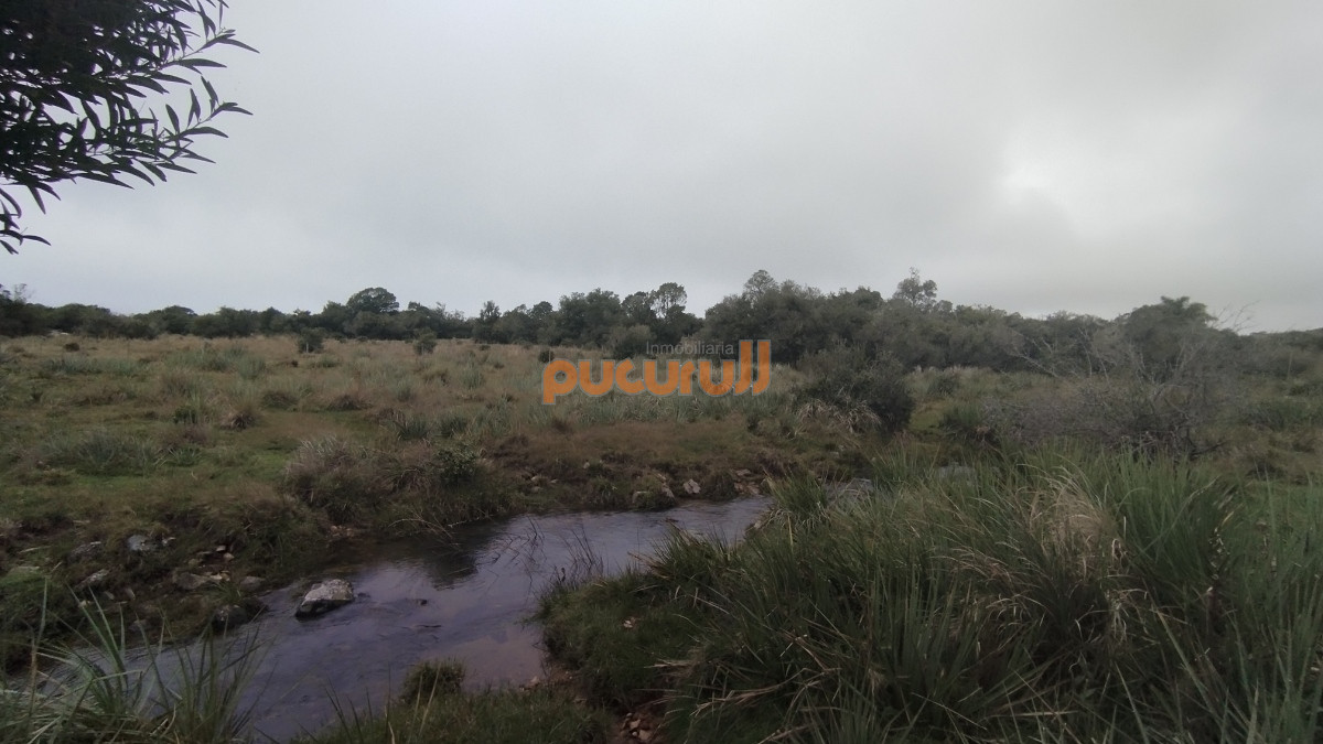 Campo en venta, Maldonado, en la zona del Cerro Catedral - GoPunta - Portal Inmobiliario de Punta del Este - Maldonado