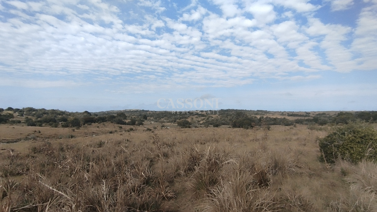 Campo Ref.2897 - Campo en venta, Maldonado, en la zona del Cerro Catedral