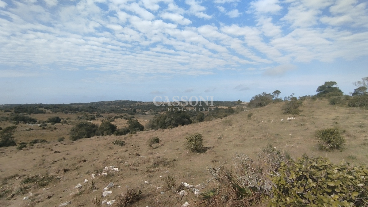 Campo Ref.2897 - Campo en venta, Maldonado, en la zona del Cerro Catedral